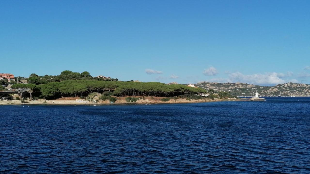 Appartamento Incantevole Con Piscina Palau Eksteriør billede